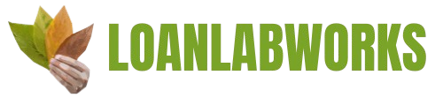 loanlabworks.com